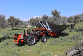 Şemsiyeli Zeytin Hasat Makinesi